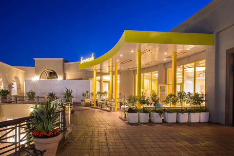 Image of Infratech C Series Single Element 3000 Watt 480V Outdoor Electric Heater | Infratech 61 in Electric Radiant Heater | C3048