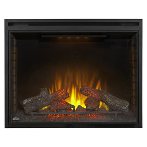 Napoleon Ascent 40'' Dual Voltage Built-In Electric Firebox Insert