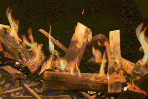 Flamerite Fires E-Ridium 72